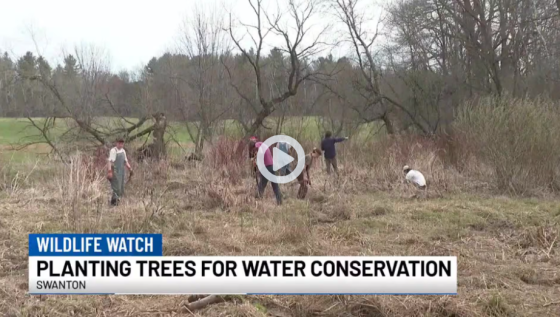 4 people planting trees along a riverbank
