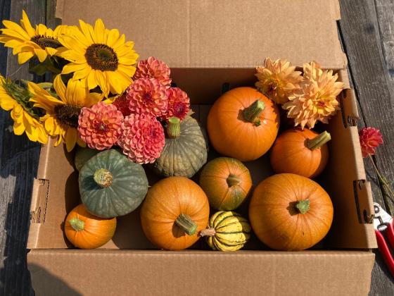 box of squash and flowers