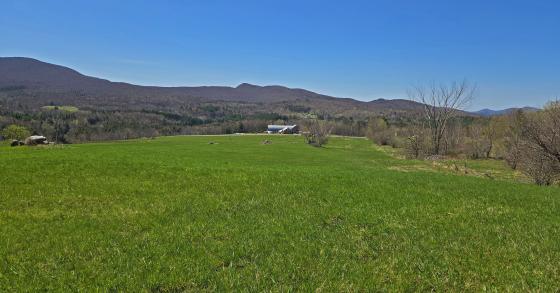 green pasture in the spring with hillside beyond