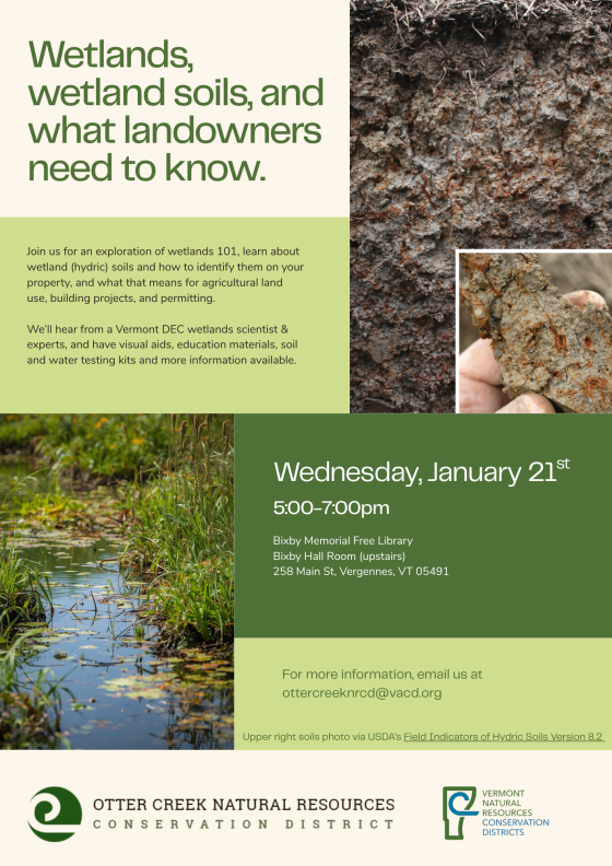 Wetland Soils Event Flier January 2026