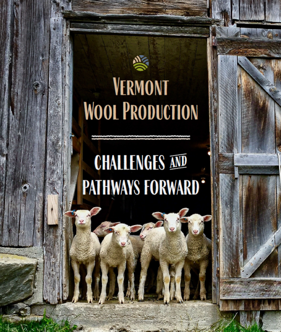 2026 Vermont Wool Production Challenges and Pathways Report