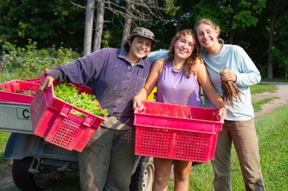 three farmers smiling, two holding red crates with fresh greens, and the third person holding a bunch of carrots. They are standing outside with greenery in the background.