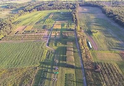 aerial view of a farm