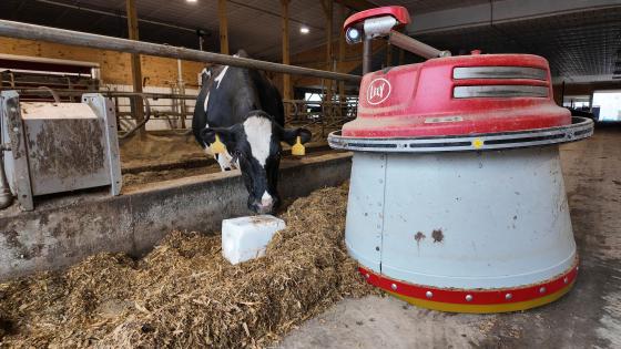 cow and feed pusher