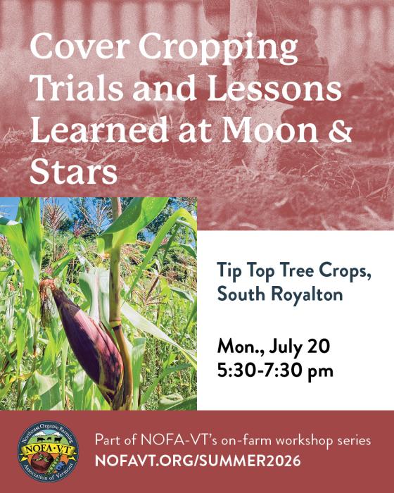 NOFA-VT cover crop flyer with corn