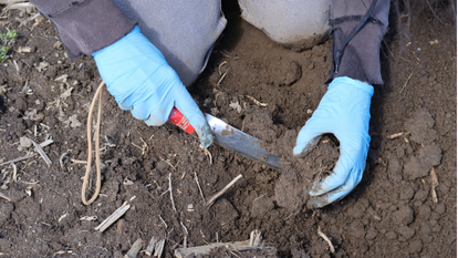 soil sampling